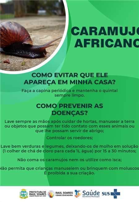 COMBATE AO CARAMUJO AFRICANO